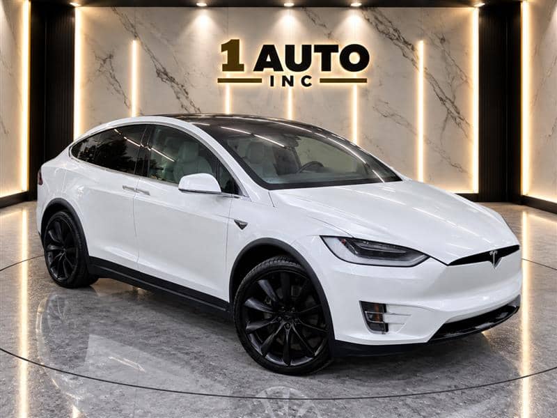2020 Tesla Model X Long Range, photo 1 of 11
