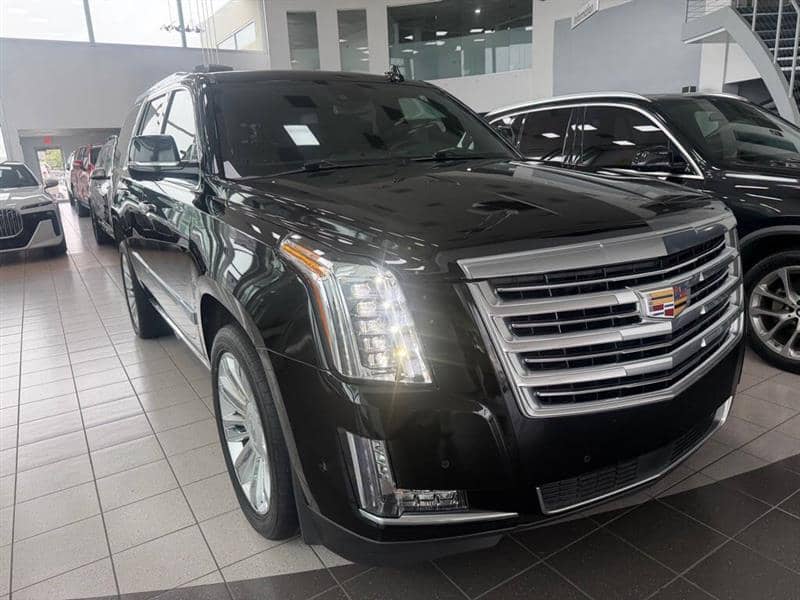 2020 Cadillac Escalade Platinum 4x4 4dr SUV, photo 1 of 11